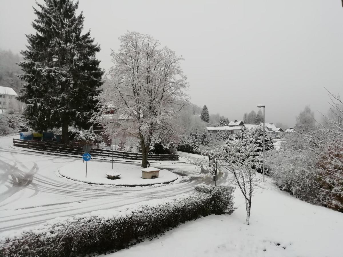 Schoene Aussicht Wieda Walkenried Extérieur photo